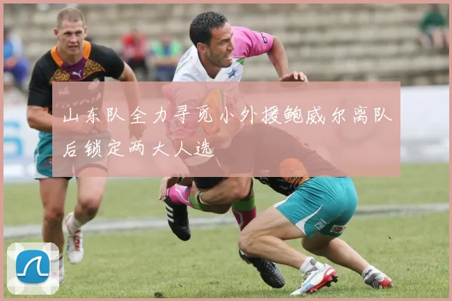 山东队全力寻觅小外援鲍威尔离队后锁定两大人选