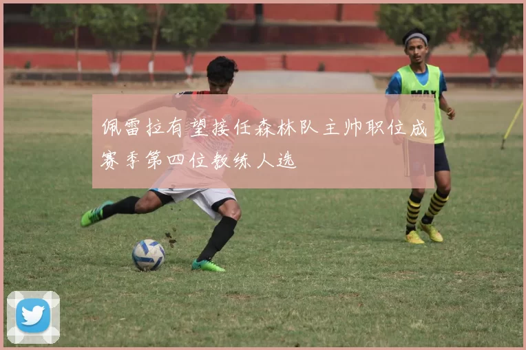 佩雷拉有望接任森林队主帅职位成赛季第四位教练人选